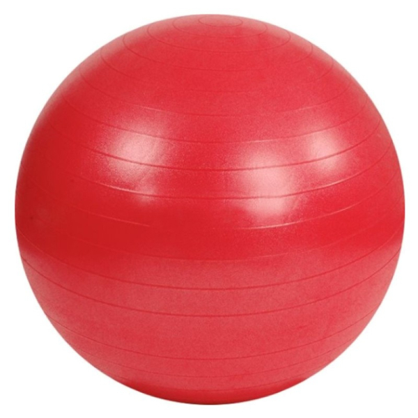 Gymnastický míč Anti-Burst 55 cm