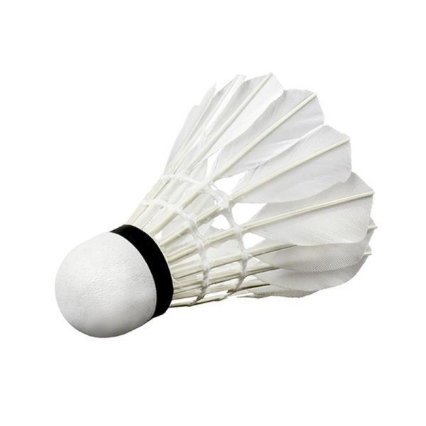 Badmintonový raketoplán Wish S505-06, bílý, péřový Badmintonový raketoplán Wish S505-06, bílý, péřový