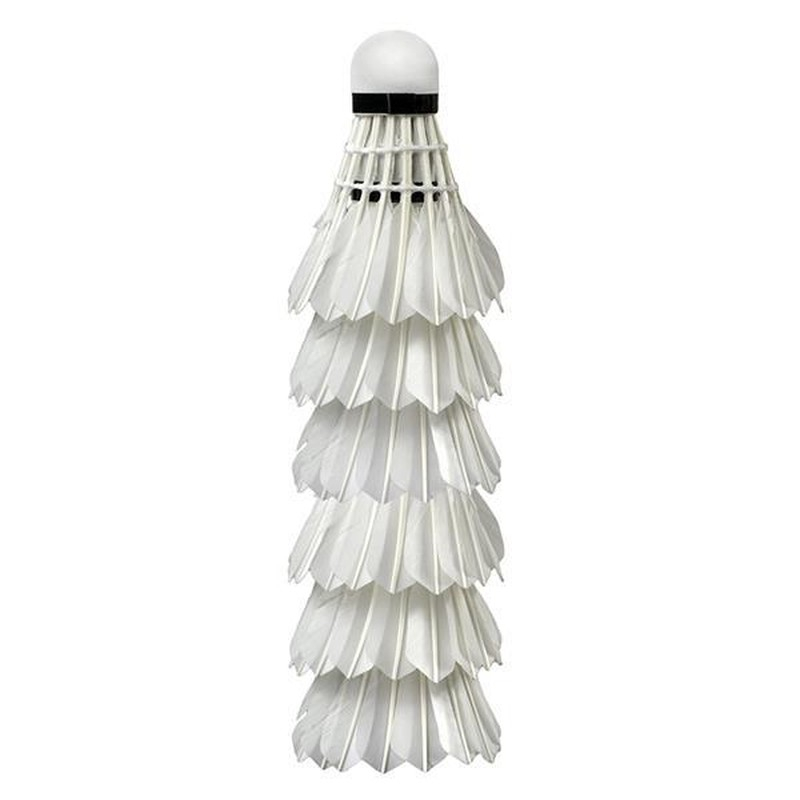 Badmintonový raketoplán Wish S505-06, bílý, péřový