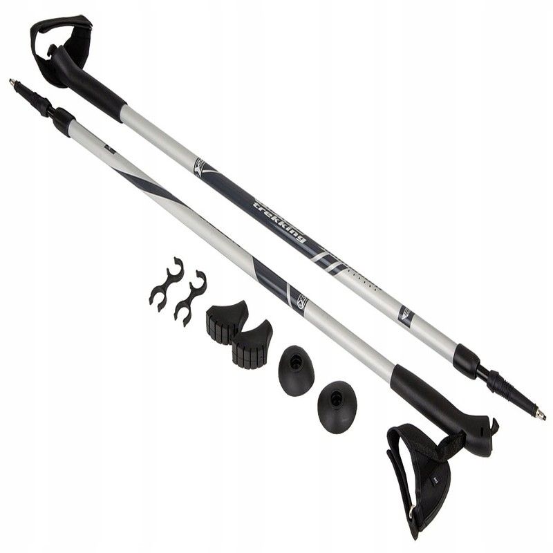 Nordic walking hole Best Sporting od roku 1978 , barva stříbrná a černá