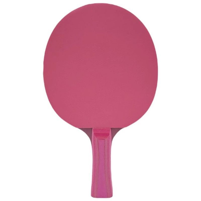 Raketa na stolní tenis Point Blue