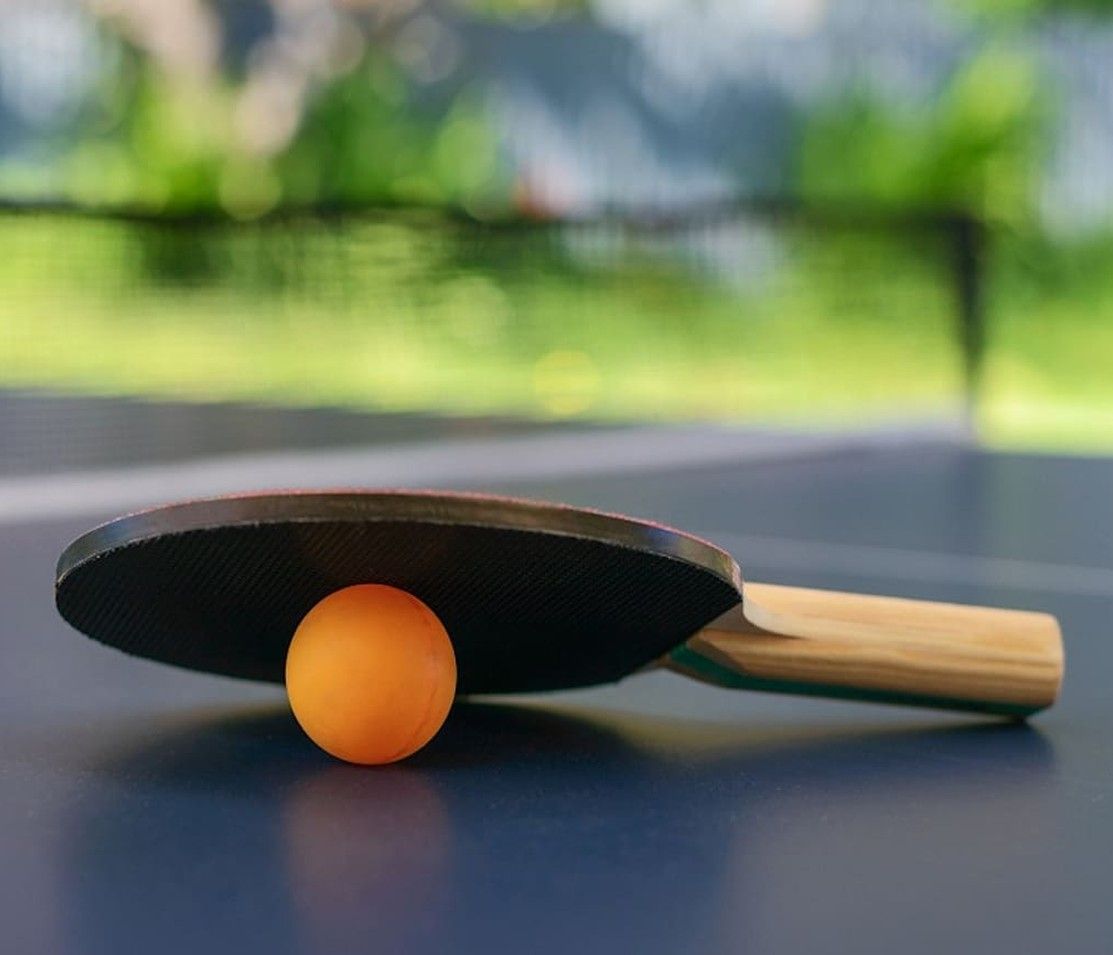 Stůl na stolní tenis. Jak vybrat ten nejlepší?